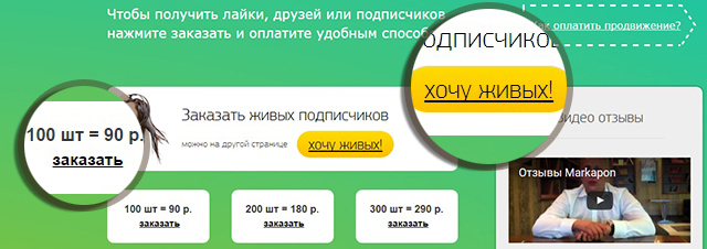Лойсы и подписчики Лойсы