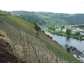 Vineyard near the Mosel River by Friedrich Petersdorff 