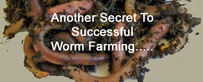 Marketing and successful worm farming business