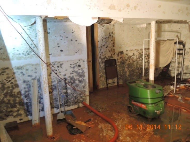 MEC&F Expert Engineers CAUSE & ORIGIN INVESTIGATIONS HOT WATER TANK