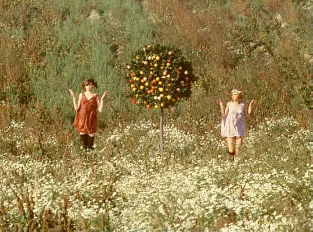 PARACHUTESAWAY DAISIES the most marvelous film almost ever