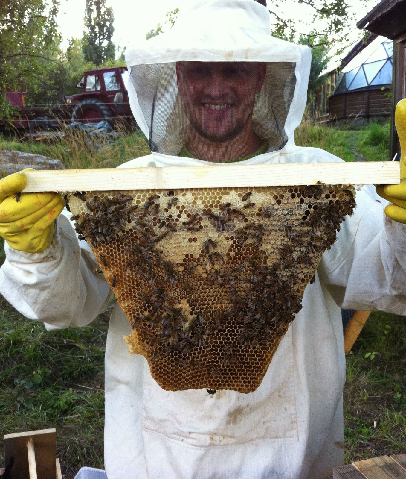 Che Guebee Apiary Mykorrhiza is building a Kenya Top Bar Hive