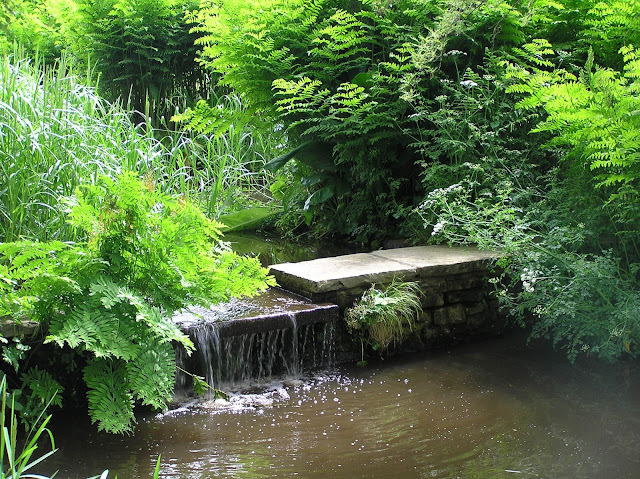 The Savill Garden strumień i kaskada wodna