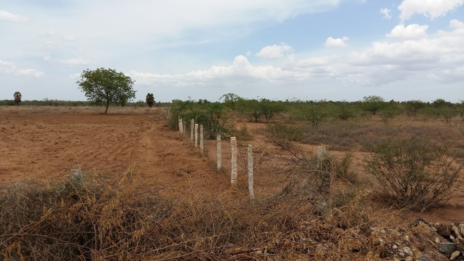 AGRI LANDS CHEAP AGRI LAND FOR SALE WITH FREE ELECTRICITY