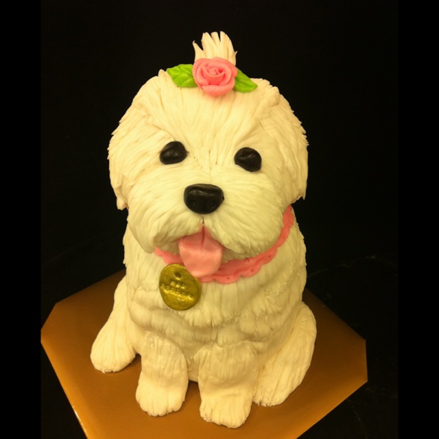 Fin-ish Me Cupcakes: Maltese Terrier