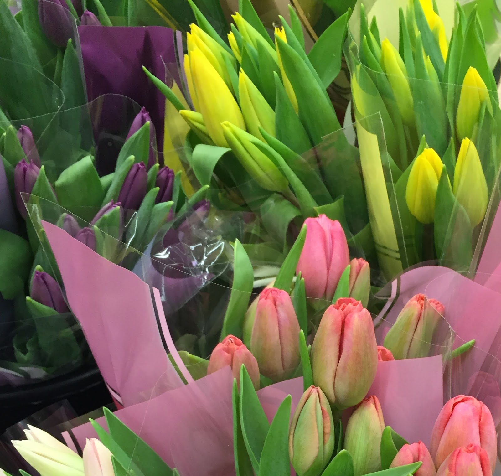 Randi Art More Grocery Store Tulips