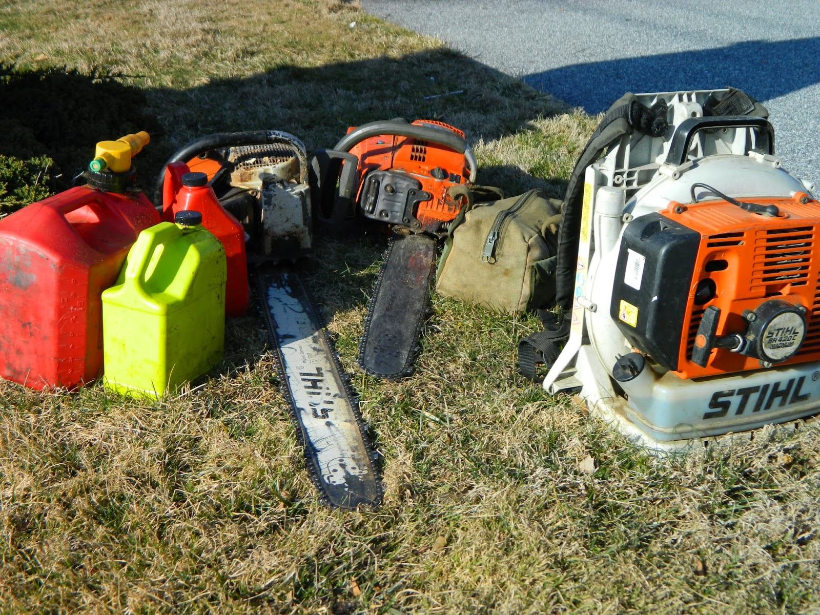Dan, the Tree Man Pine Tree Removal