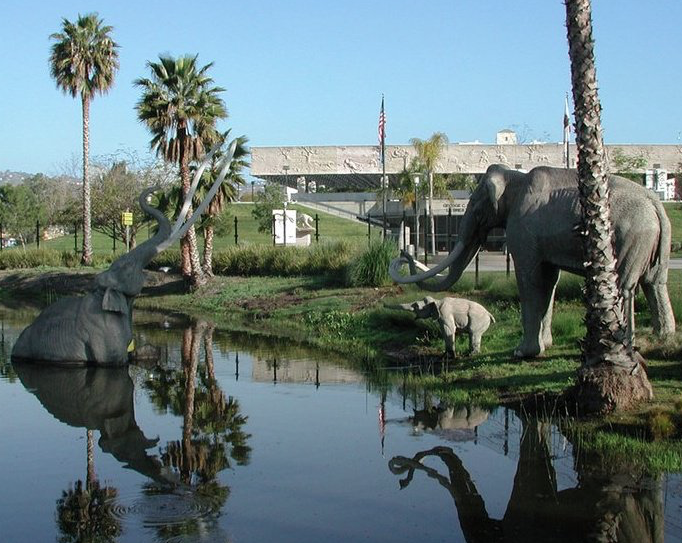 History Adventuring How to visit the La Brea Tar Pits, Los Angeles