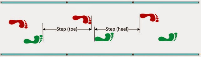 Physical Medicine & Rehabilitation Sciences: Gait Cycle