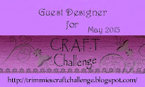May' 2013: GDT @ C.R.A.F.T. Challenge