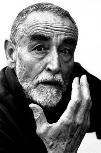 Vittorio Gassman Vittorio Gassman
