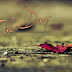 The Day
