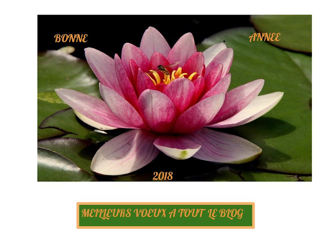 CARTE DE VOEUX