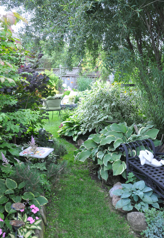 Three Dogs in a Garden Teresa's Garden