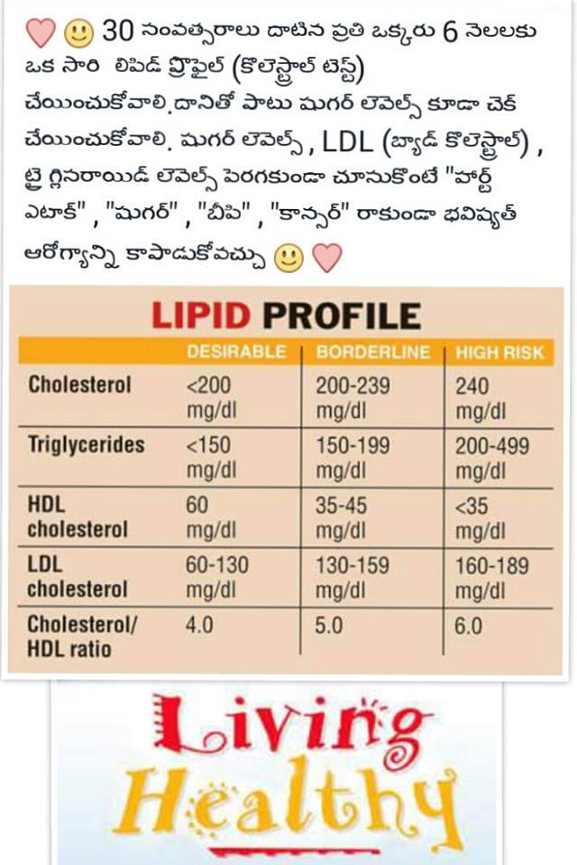 Lipid Profile Test Chart