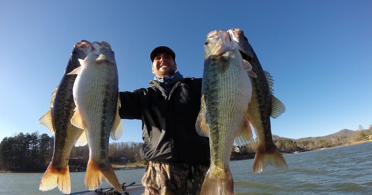 Dream Catcher's Fishing Fishing Report Lake Chatuge, Lake Glenville