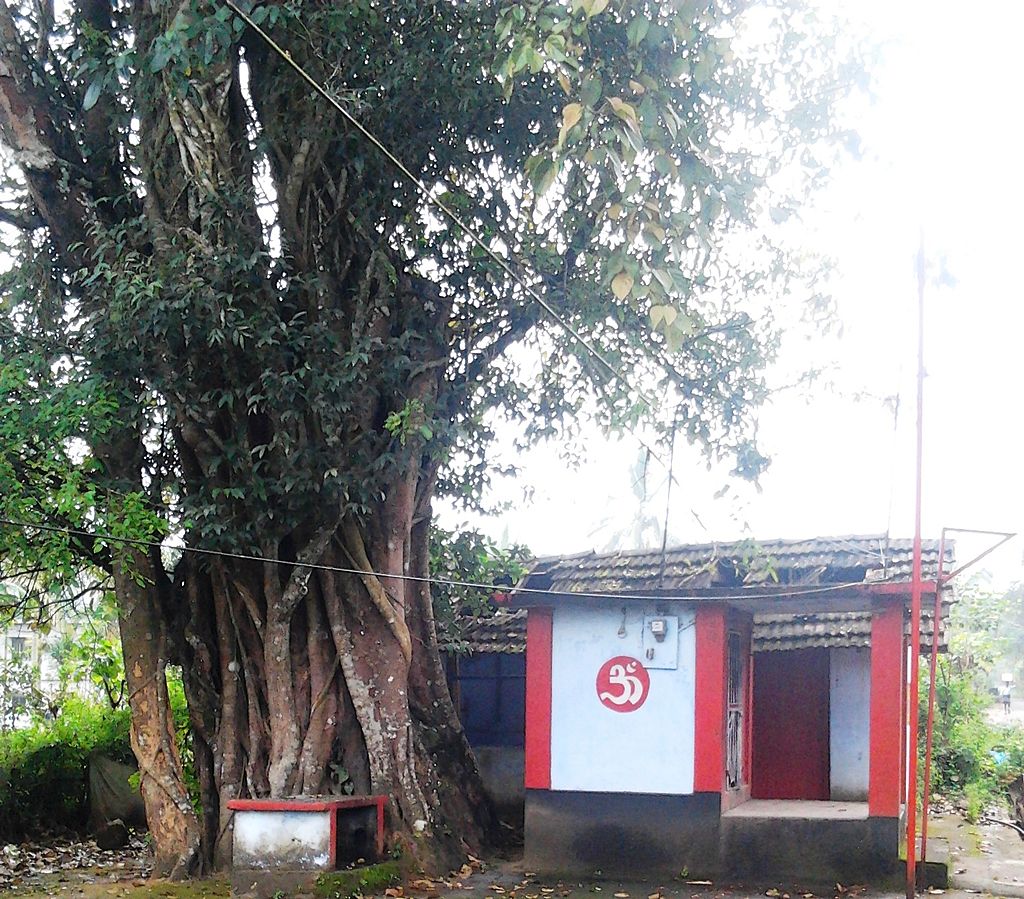 Tamil Nadu Travel Diary Devala village near Gudalur