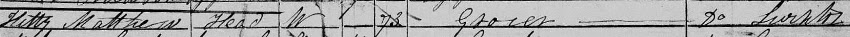 1851 census entry for Kitty Matthew at Barton-le-Willows