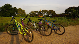 DSC06991.JPG