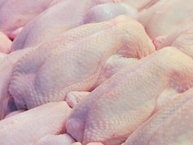 Saudi Arabia's Poultry Imports to Decline Amid Increasing Local Production