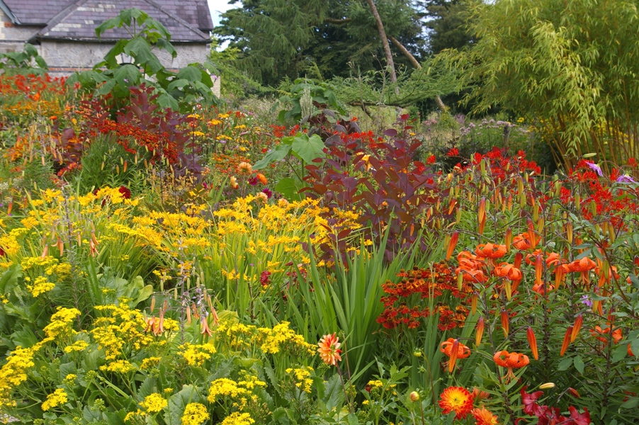 John Grimshaw's Garden Diary: June Blake's Garden