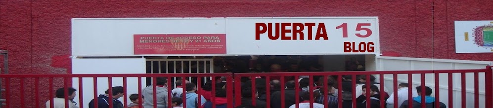 PUERTA 15