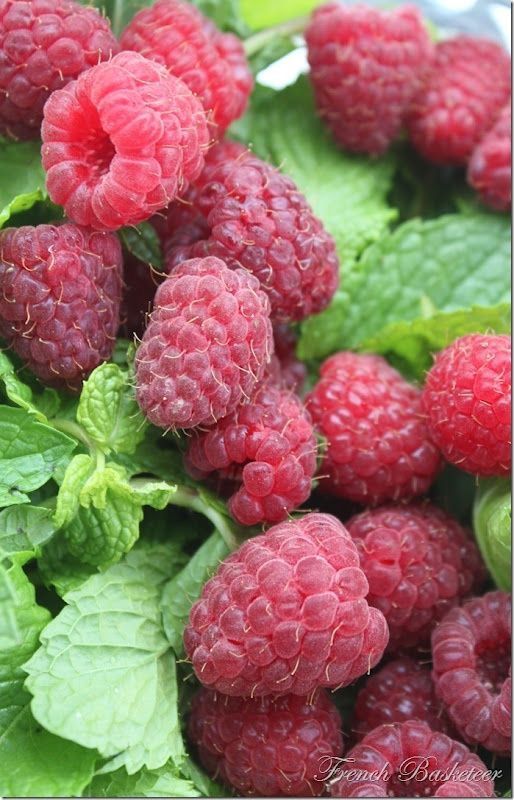 Eye For Design: Decorating With The Color Raspberry