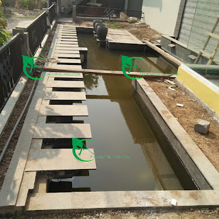 KOLAM MINIMALIS KOI TUKANG KOLAM KOI DI CIBUBUR