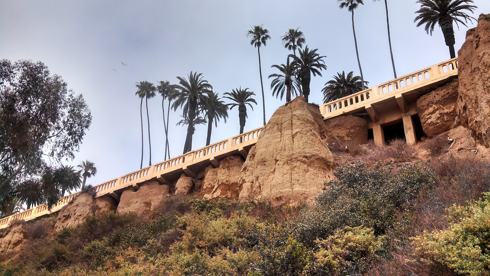 The Life and Times of Julian and Amanda Seal Beach Malibu Calabasas