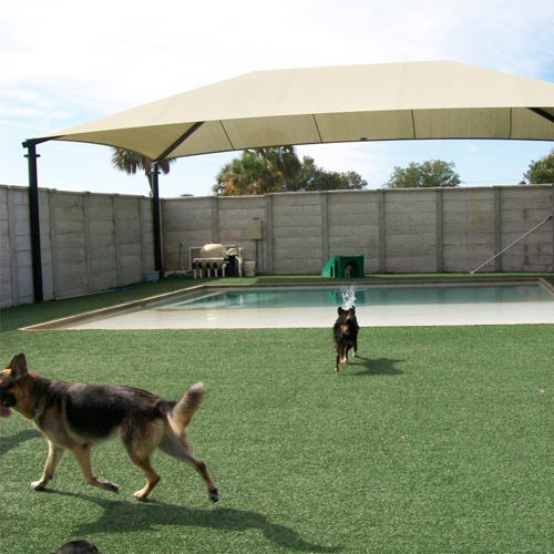Greatmats Specialty Flooring Mats And Tiles 2018 Greatmats Artificial Grass For Dogs To Play On