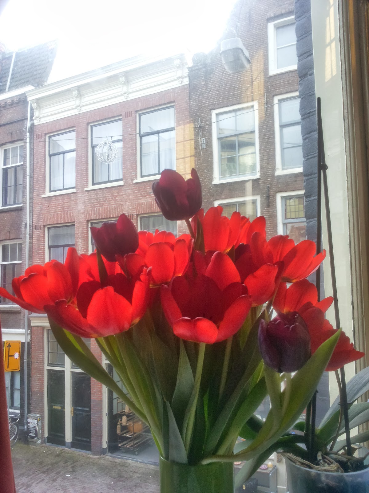 When In Amsterdam... Free Tulips National Tulip Day in Amsterdam