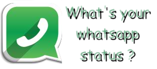 What's Your Whatsapp Status