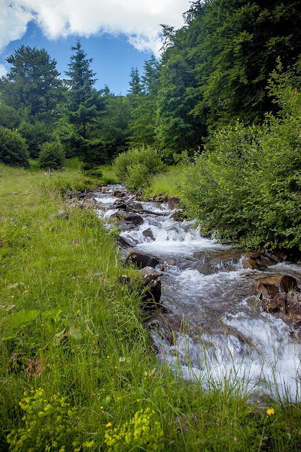 along the carpathian paths, on the roads of Ukraine, Ukraine, The Carpathians, mountains, Hoverla, Synyachka, Makovitsya, trips, trevelling, Yaremche, relax, rest in Ukraine, відпочинок у Україні, Україна, Карпати, Говерла, Маковиця, Синячка, Яремче, відпочинок в Яремчі, котедж в Яремчі, котедж у мирослава яремча, подорожі україною, відпочинок в горах, похід карпати, похід на велосипедах, отдых в карпатах, украина, дорогами украины, тропками карпат, дорогами України, стежинами карпат, sewn dreams подорожують, велопохід в карпатах