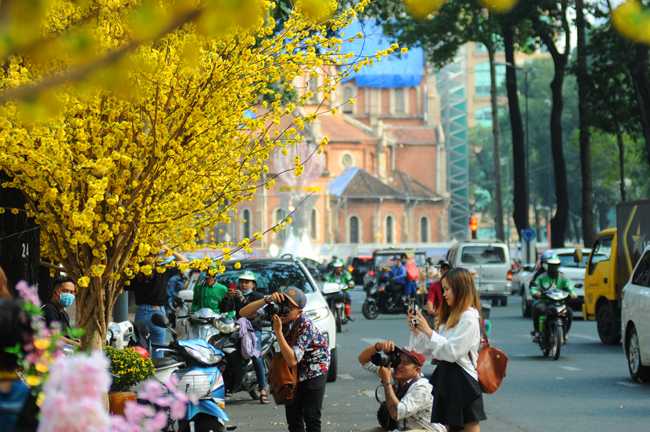 Thăm Sài Gòn đến phố ông đồ du ngoạn xin chữ dịp tết nguyên đán