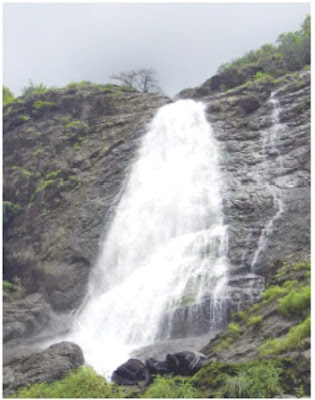 चिंचोटी, तुंगारेश्वर धबधबा धोक्याचा : तीन वर्षांत १0 पर्यटकांचा मृत्यू, तरीही ठाणे, मुंबईकरांची मोठी गर्दी चिंचोटी, तुंगारेश्वर धबधबा धोक्याचा : तीन वर्षांत १0 पर्यटकांचा मृत्यू, तरीही ठाणे, मुंबईकरांची मोठी गर्दी