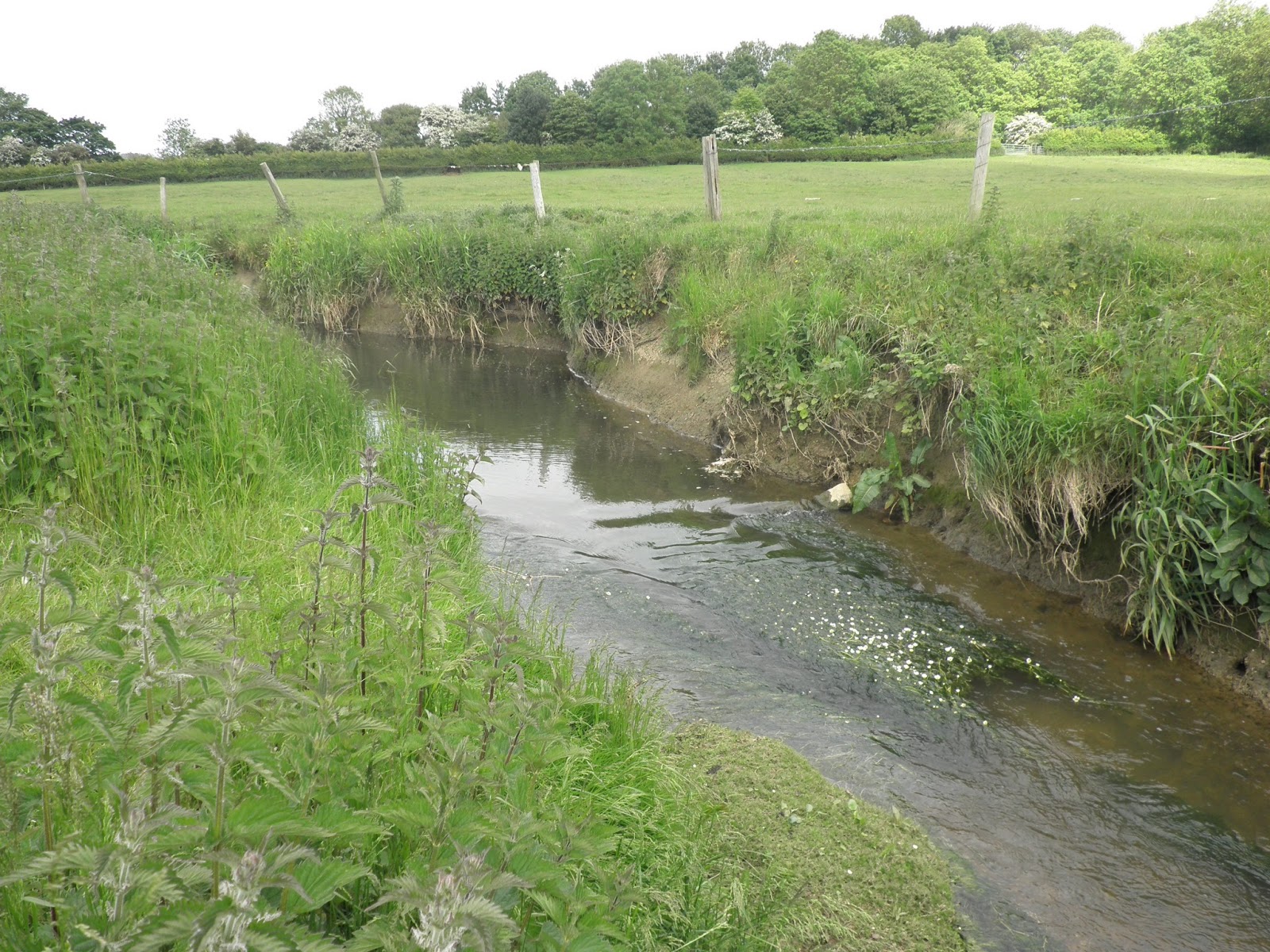 swiftwater river