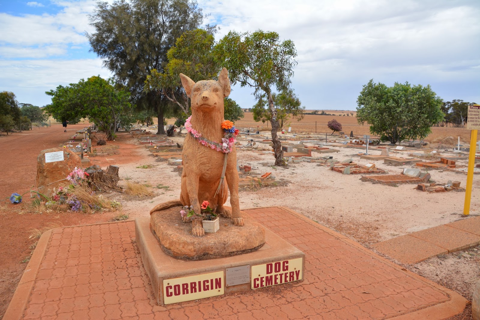 “Corrigin Dog Cemetery”的图片搜索结果