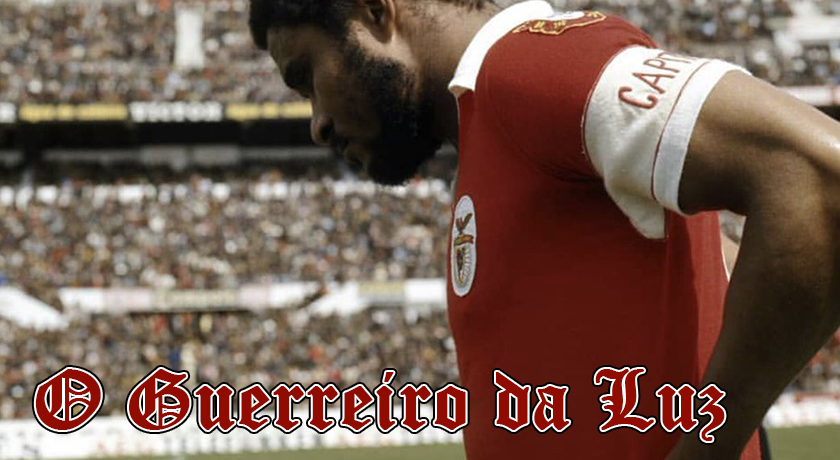 O Guerreiro da Luz