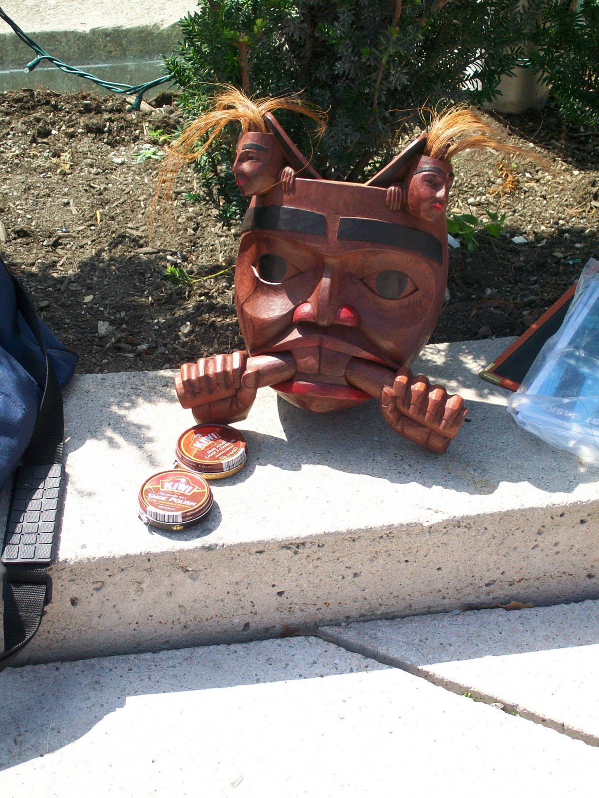 Vancouver Voyager Marine and Masks