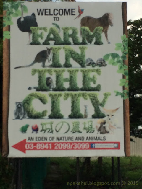 Farm In The City