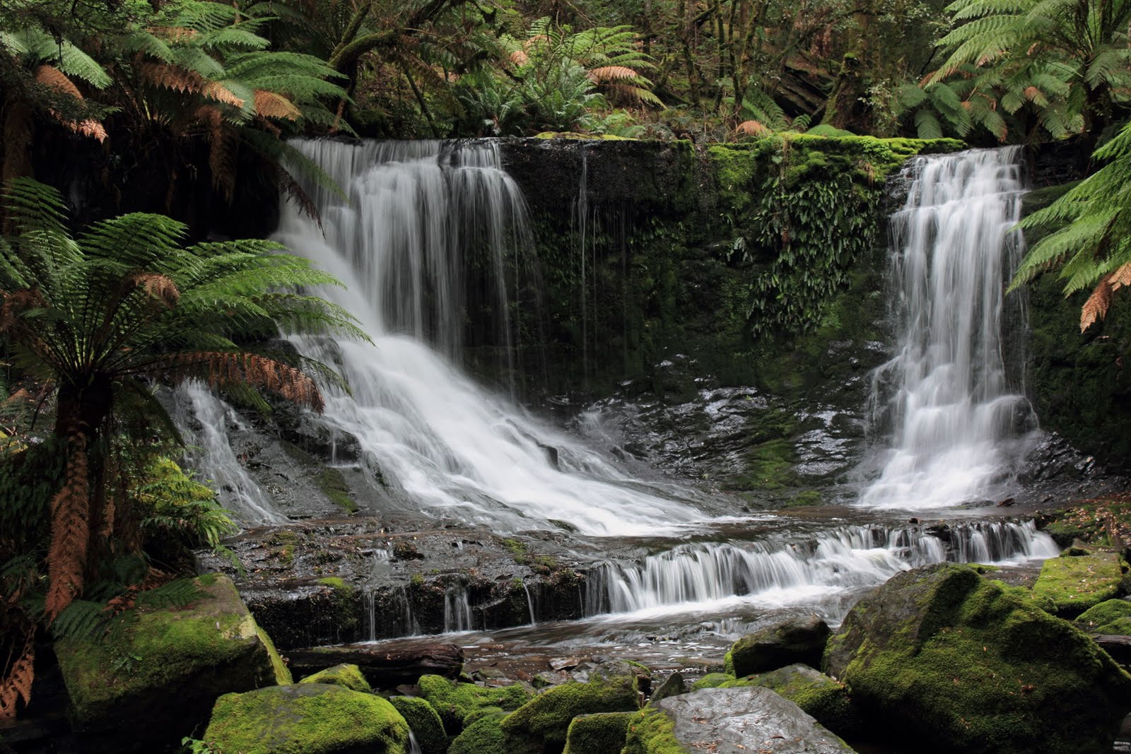 Publish or Perish Horseshoe Falls Tasmania