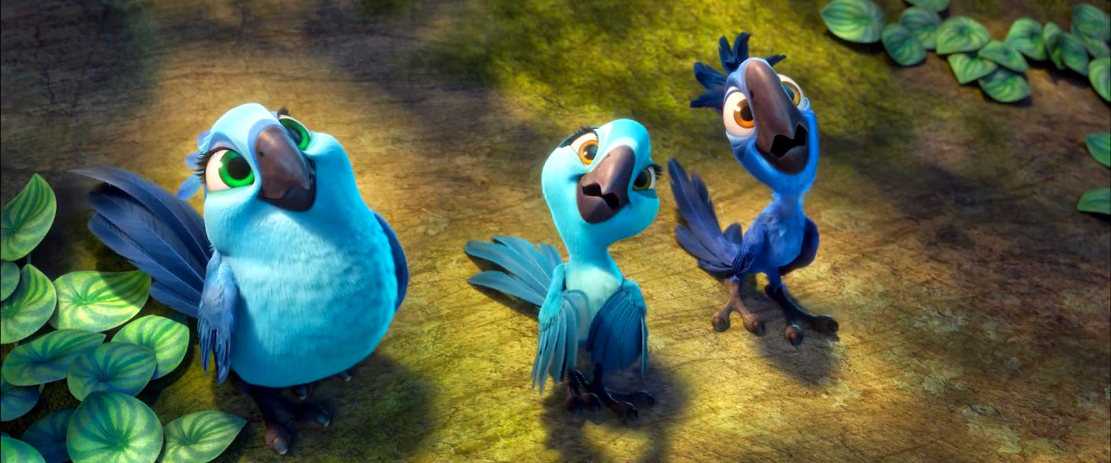 Resenha Filme Rio 2 Frases Soltas Resenha Filme Rio 2 Frases Soltas