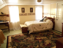 poor bedroom feral nature looks