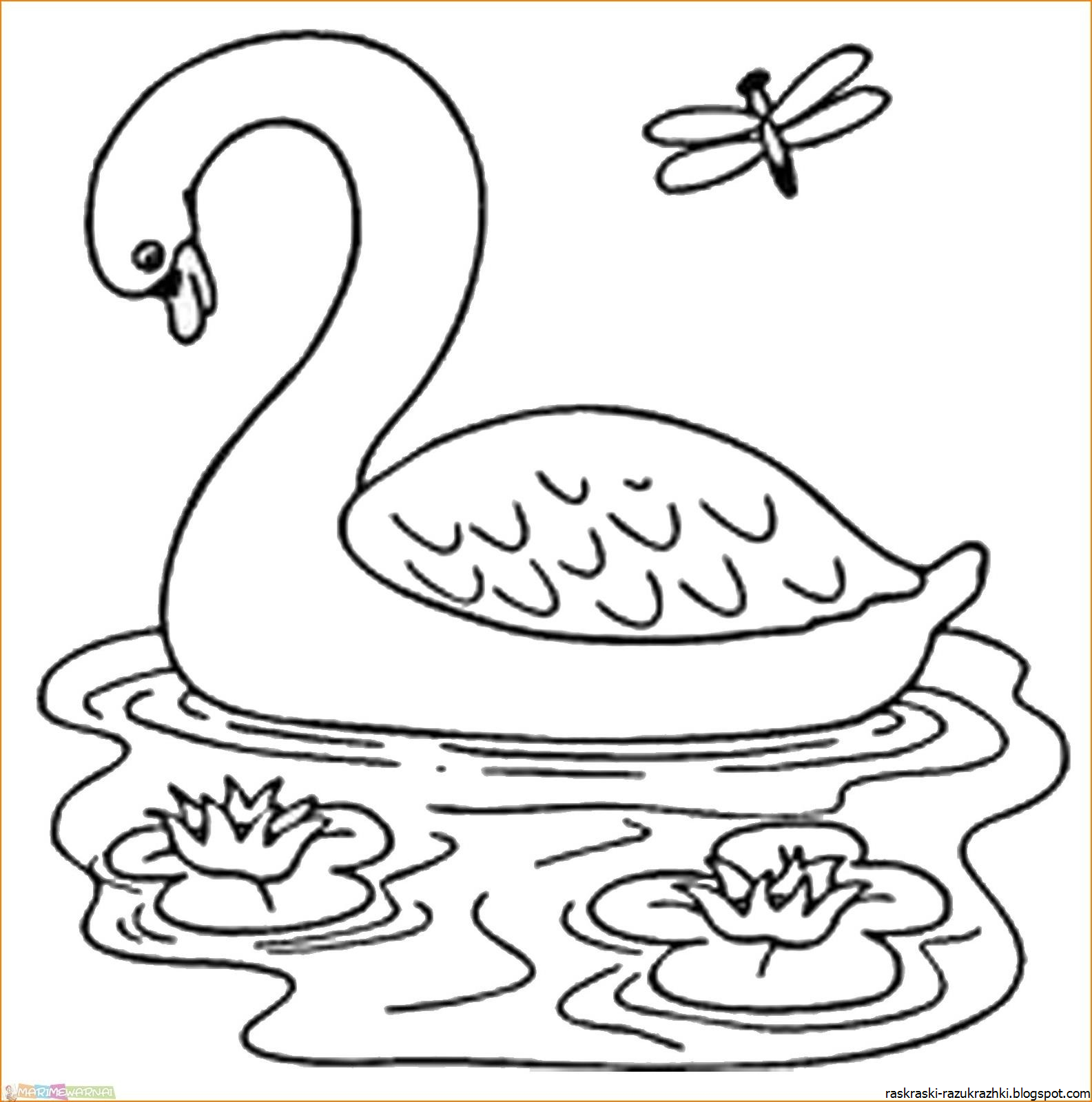 Распечатать картинку лебедь. Приёмыш мамин Сибиряк раскраска. Лебедь раскраска. Лебедь раскраска для детей. Лебедь рисунок раскраска.