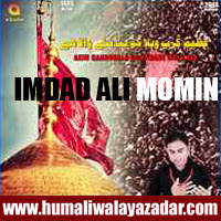 http://ishqehaider.blogspot.com/2013/10/imdad-ali-momin-nohay-2014.html