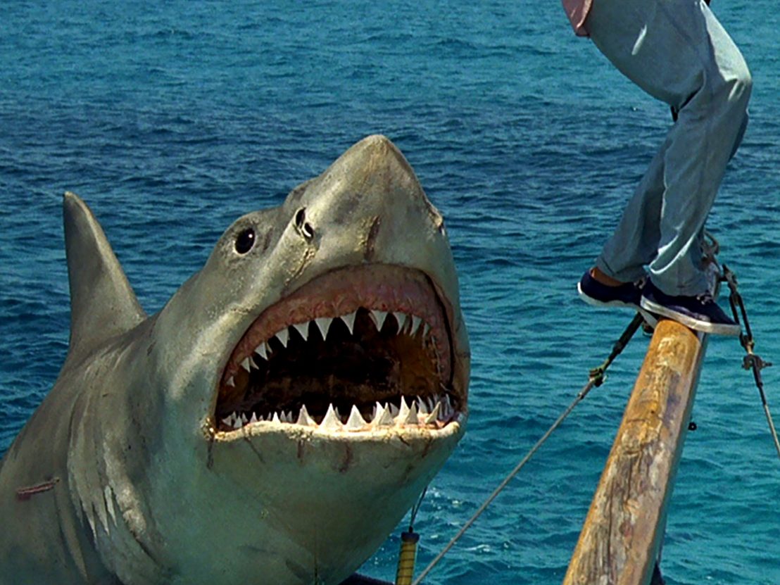 Signal Bleed: Shark Week 4: 'Jaws: The Revenge' (1987)