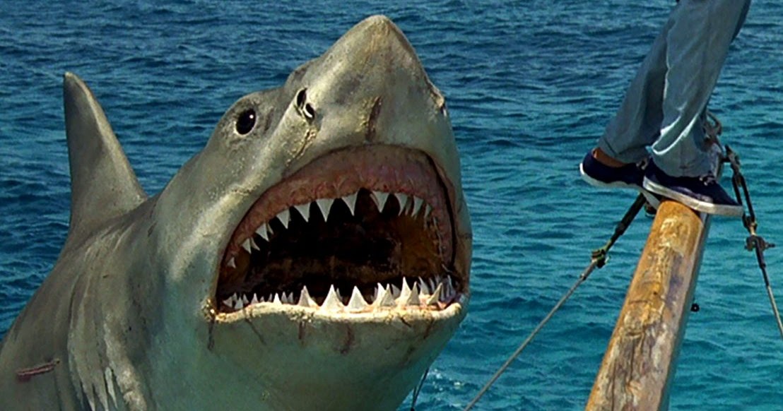 Signal Bleed: Shark Week 4: 'Jaws: The Revenge' (1987)