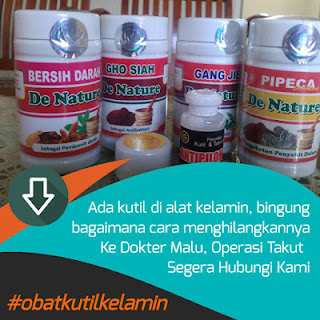 Kutil kelamin atau kondiloma acuminata