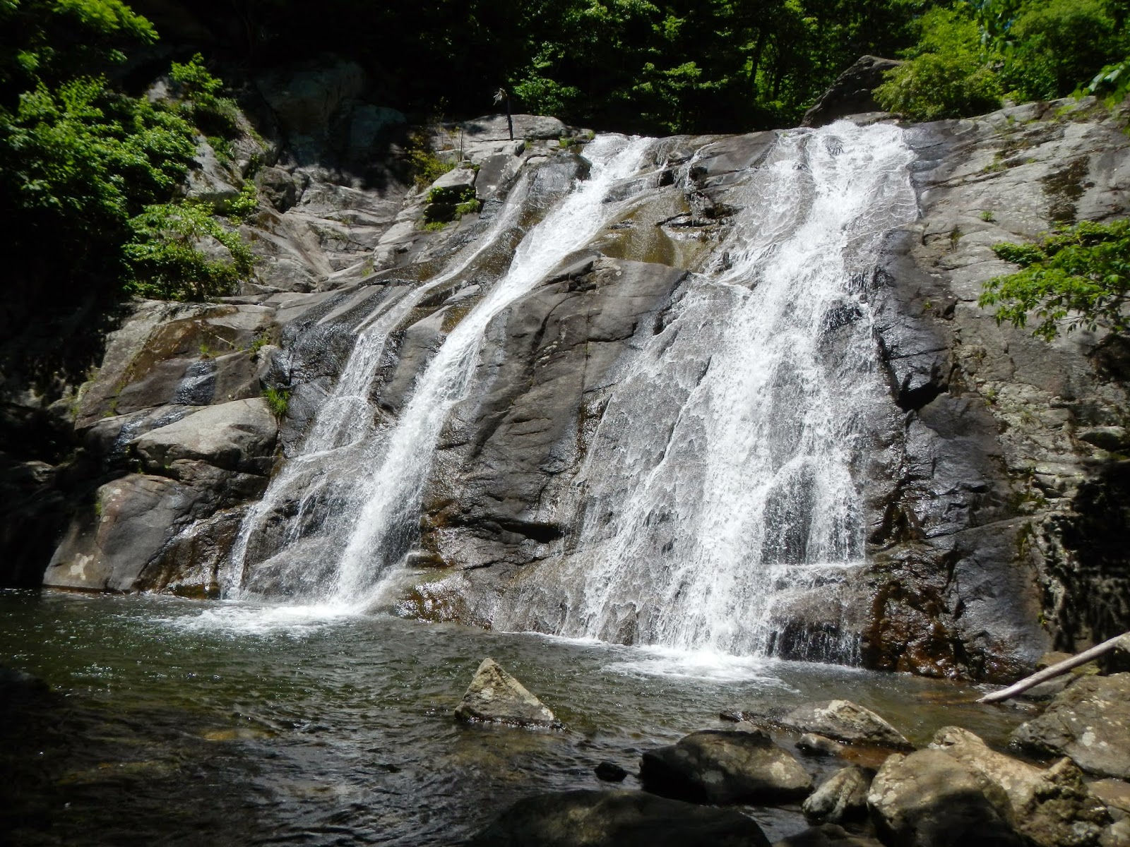 Cedar Run White Oak Circuit