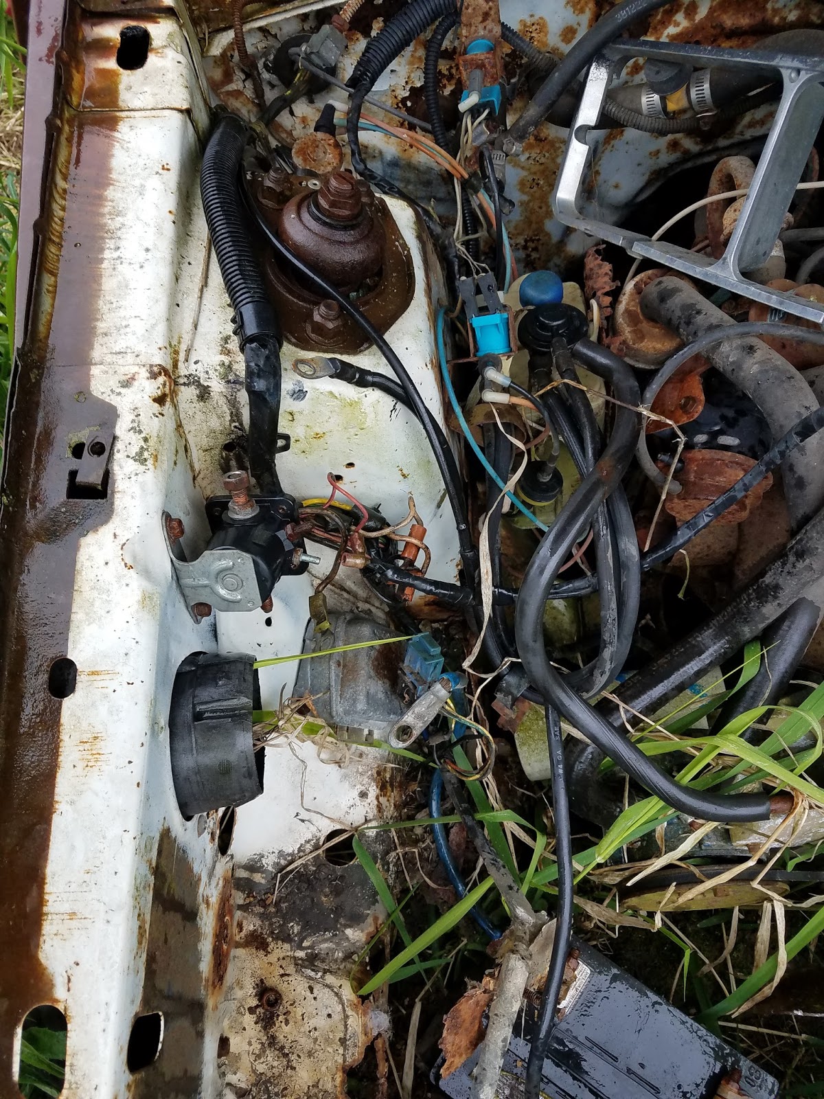 Fox Body Mustang Restoration: 1979 Ford mustang Wire Harness Extraction